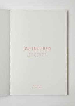 ONE PIECE DAYS ©GRAPHITICA